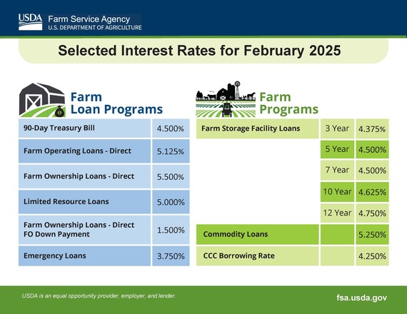 feb interest rates
