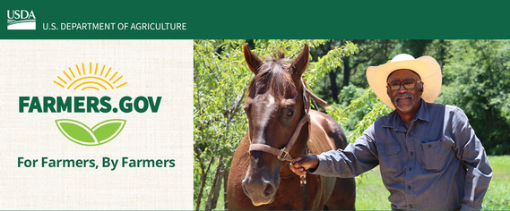 Person standing next to a horse