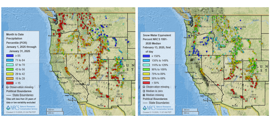 Two maps of the western U.S. side by side, depicting the SNOTEL January precipitation totals and current SNOTEL snow water equivalent totals