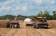 corn harvest grain combine usda flickr
