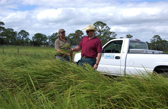 NRCS staff meets with farmer in Okeechobee