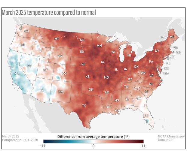 Map of the contiguous U.S. depicting above-normal temperatures recorded for much of the country in March 2025