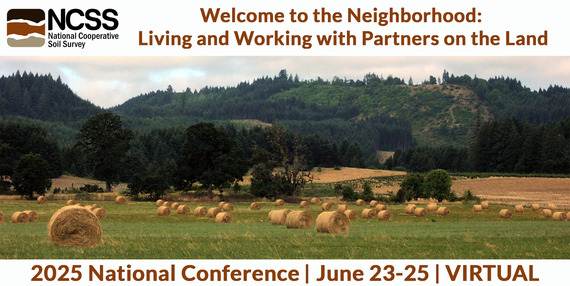 NCSS Virtual Conference bannerhead