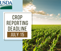 July 15 Crop Acreage Reporting Deadline