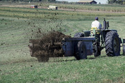 Manure Spreader
