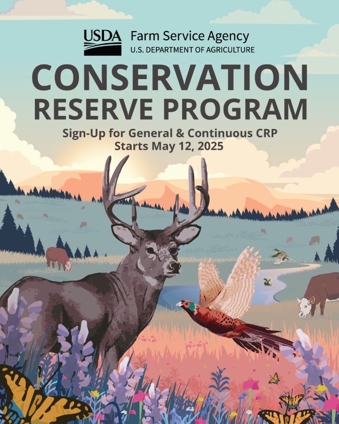 graphic for the Conservation Reserve Program signup with deer, cattle, pheasant and butterfly in background