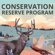 Crp Program Sd NRCS North Dakota State Office Updates