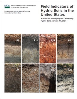 Field Indicators of Hydric Soils in the US