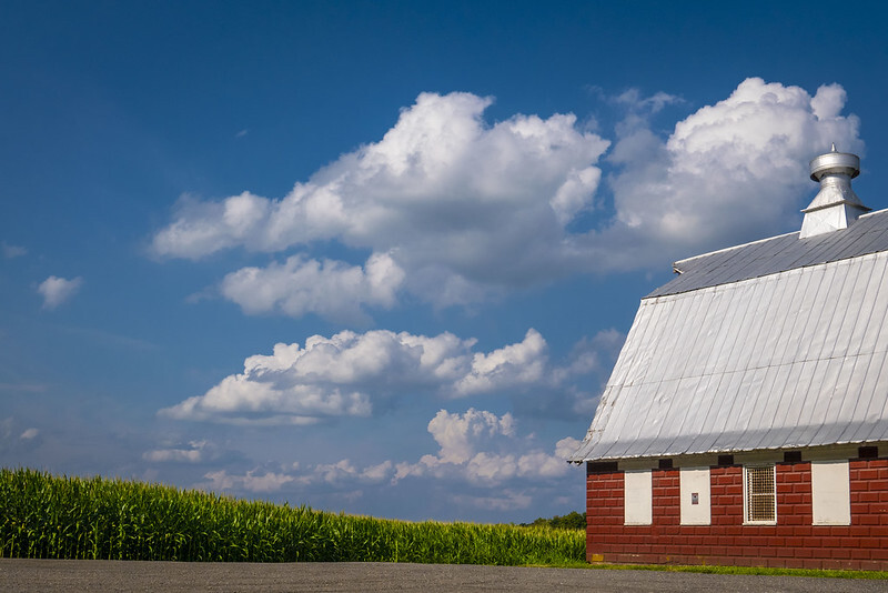 red barn and corn field