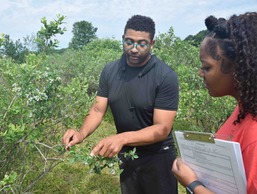 Blueberry farmer Kyle Mitchell and NRCS Soil Conservationist Kami Williams examine a blueberry bush.