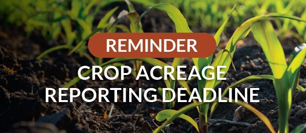 Crop Reporting Deadline