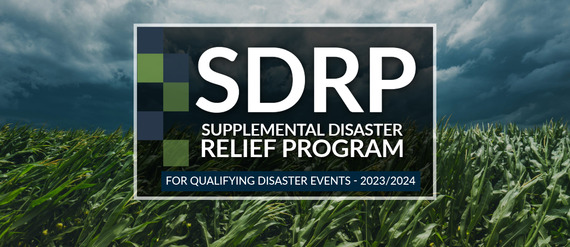 Supplemental Disaster Relief Program logo with grass in the background