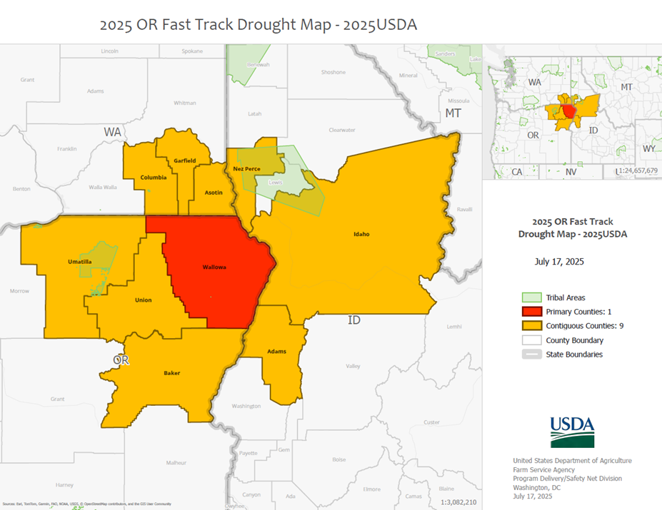 2025 Wallowa Drought Map