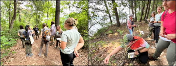 Left: Chris Riley leads NRCS planners on a plant ID tour in Goddard Park in Warwick, RI. Right: staff use a tree guide to ID plants.