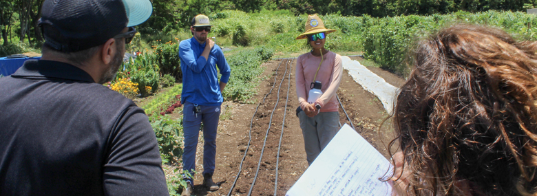 Oahu Farmers