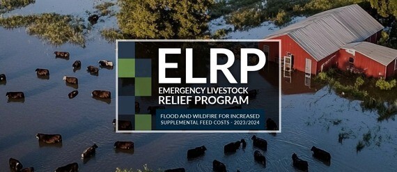 ELRP