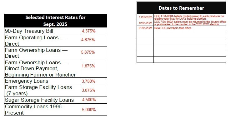 September Interest Rates 