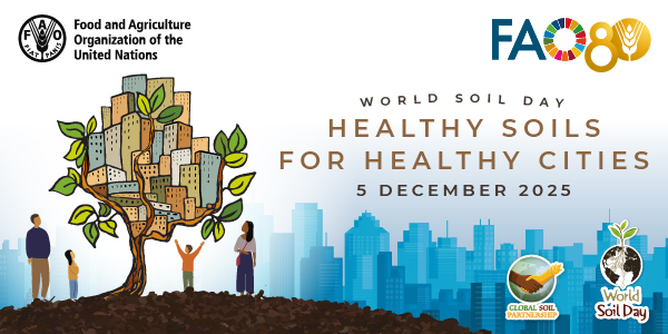 World Soil Day Banner: Healthy Soils for Healthy Cities