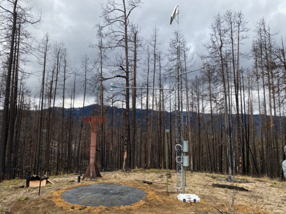 Cozy Cove SNOTEL site on November 18, 2025 after the new snow pillow was installed. 