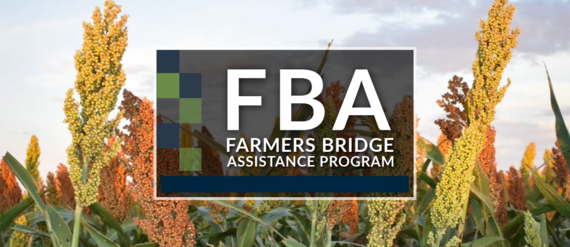 FBA no date