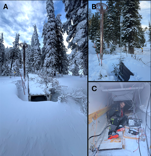 Grand Targee Photo Montage