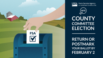 Ballots Due