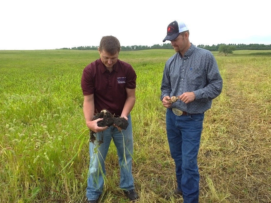 NRCS pic