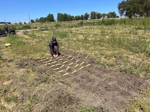 NRCS Employee Planting 