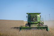 https://www.flickr.com/photos/farmersgov/50509895857/
