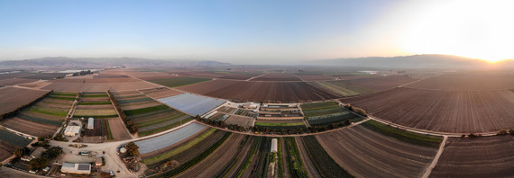 Farmland