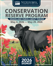Grassland graphic
