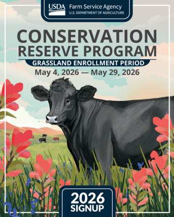Grassland graphic