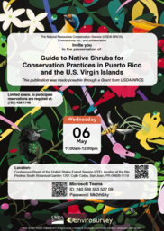 PR & USVI Native Shrub Guide