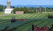 hay cutting flickr ny