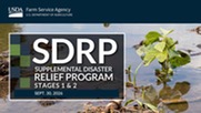 SDRP