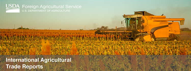 Image of farm machinery moving across a sorghum field