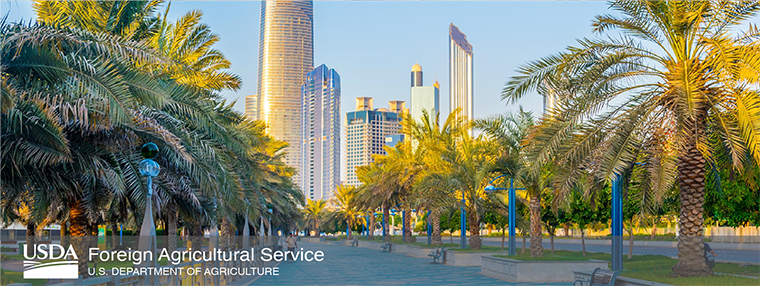 Image of a sunny boulevard in Dubai