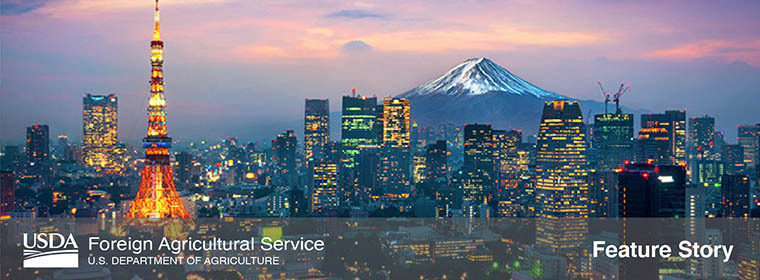 Photo of Tokyo, Japan, at dusk