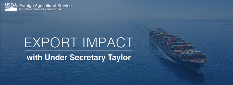 Photo of a containership with the headline "Export Impact"