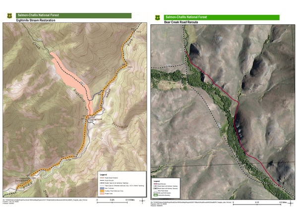 Bear Creek Restoration Project