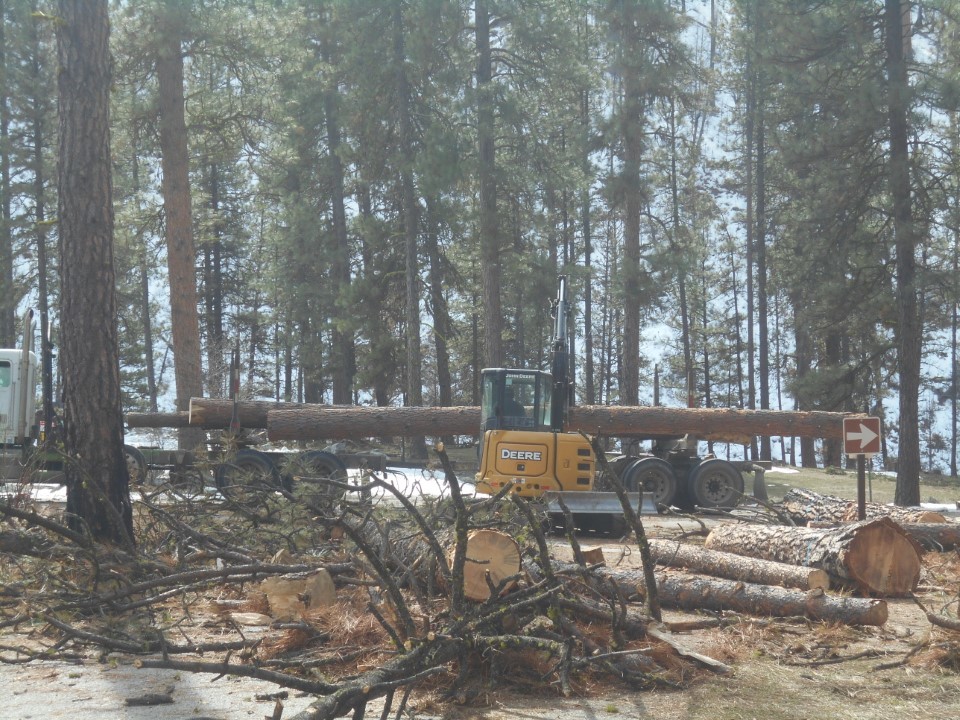 Lowman Ranger District Pine Flats update progress