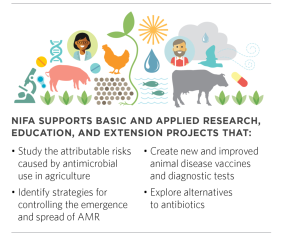 NIFA_supports_AMR_research