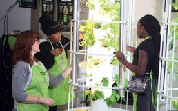 Urban Gems Ohio Image