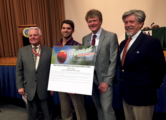 Favored Strawberry screening image of the panel