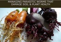 photo morgan creek chronicles NE1040 MRF NIFAImpacts