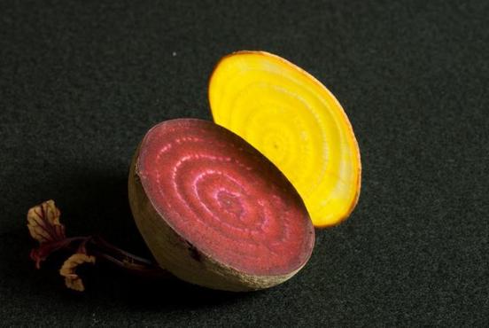 Red & Yellow beet