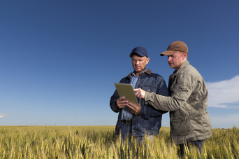 Two guys looking at reports in a field.