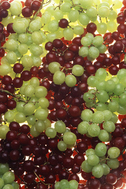 USDA photo grapes Fresh from the Field