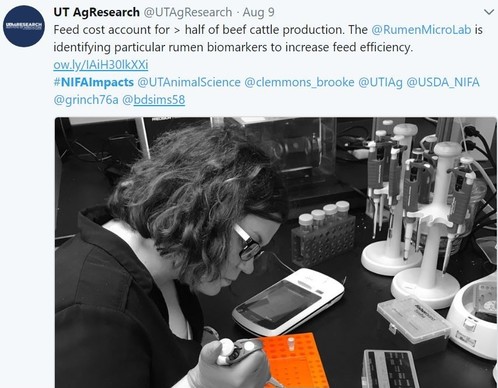 NIFA Imacts Fresh from the Field Aug 2018 Rumen Lab