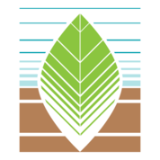 SoAR Foundation graphic logo